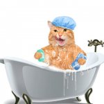 Full Grooming (Pack of 09 Services)