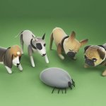 Bug Treatment (Add On)