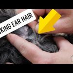Ear Plucking (Add On)