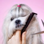Stage 3  (1+2+3) Pet Grooming Academy Course